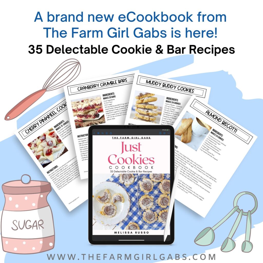 Just cookies is a collection of 35 delicious cookies and bar recipes by Melissa Russo. These cherished recipes have been passed down over the years. In this eBook, you will find the classics like Chocolate Chip and some newer cookie and bar recipes as well. So grab a glass of milk and start baking.