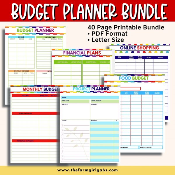 Take control of your finance with this Printable Budget Planner. This financial planner has all the tools to take control of your finances.