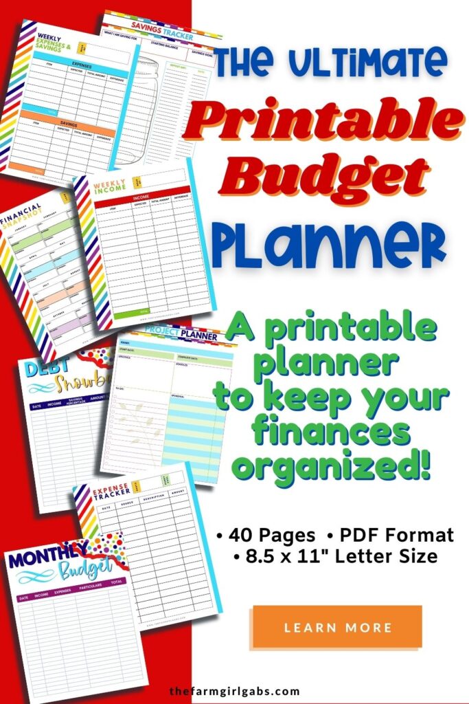 Take control of your finance with this Printable Budget Planner. This financial planner has all the tools to take control of your finances. 